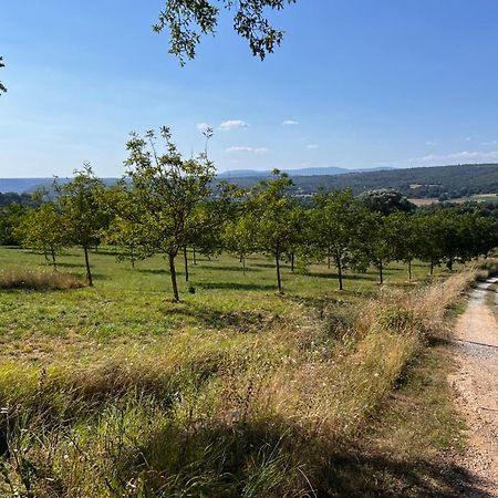 Bergerie Bed and Breakfast Montjustin Buitenkant foto