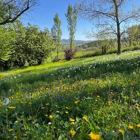 Bergerie Bed and Breakfast Montjustin Buitenkant foto
