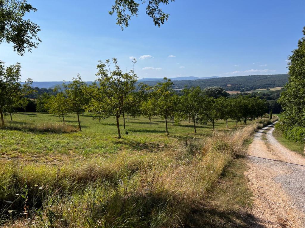 Bergerie Bed and Breakfast Montjustin Buitenkant foto