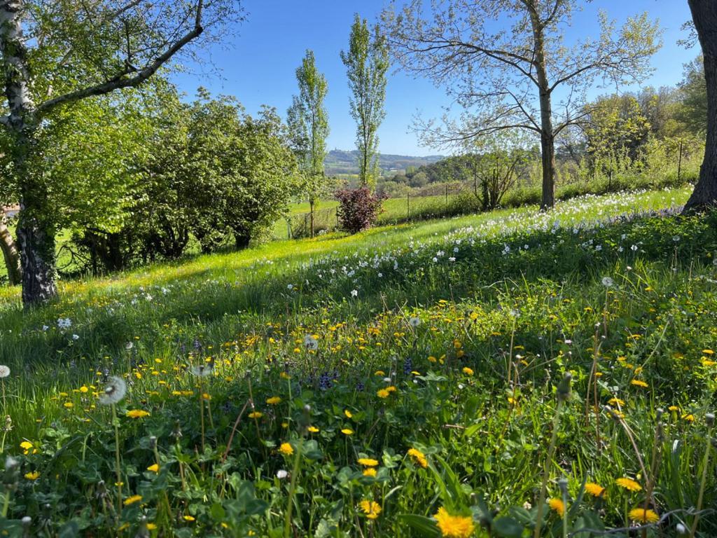 Bergerie Bed and Breakfast Montjustin Buitenkant foto